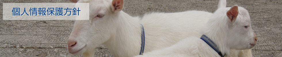 株式会社ウェルドプロ(WeldPro) - 個人情報保護方針