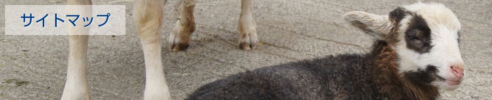 株式会社ウェルドプロ(WeldPro) - サイトマップ